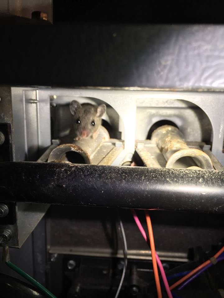 HVAC Maintenance